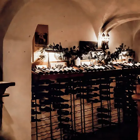 Kasteel Engelenburg - Quality 4* ブルメン